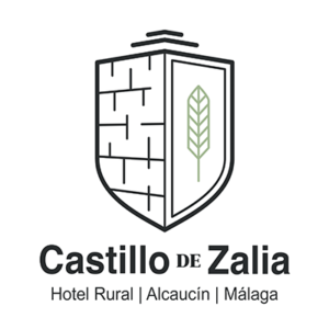 Castillo de Zalia